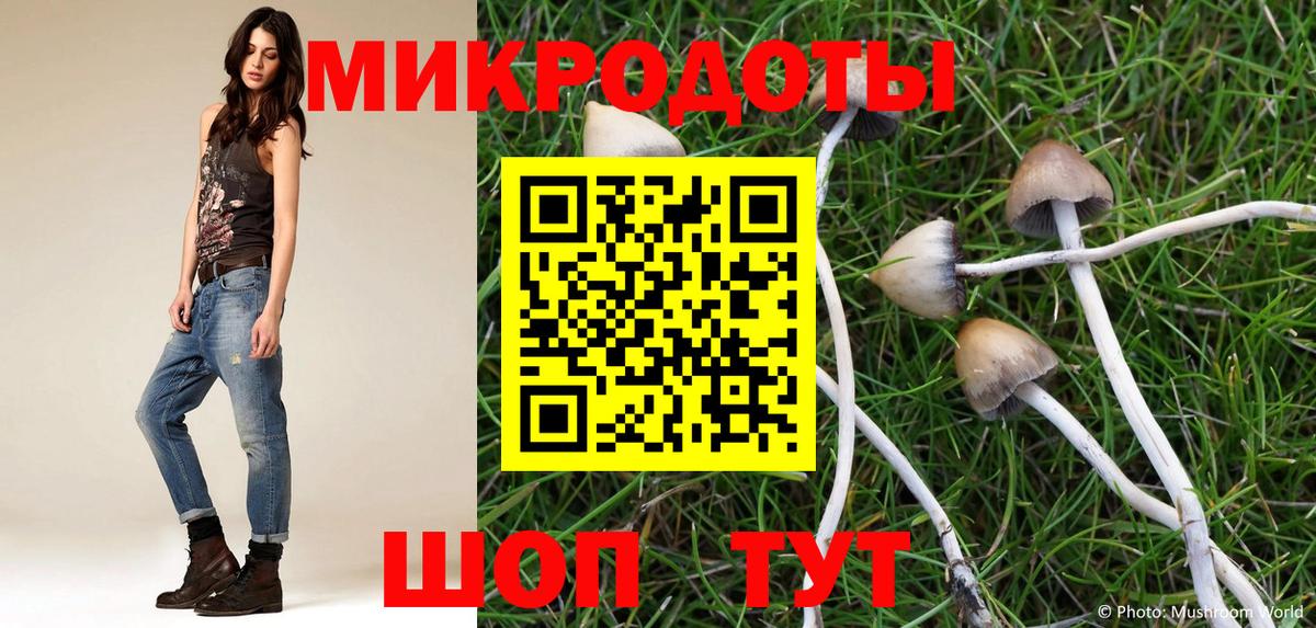 Псилоцибиновые грибы Magic Shrooms Белорецк