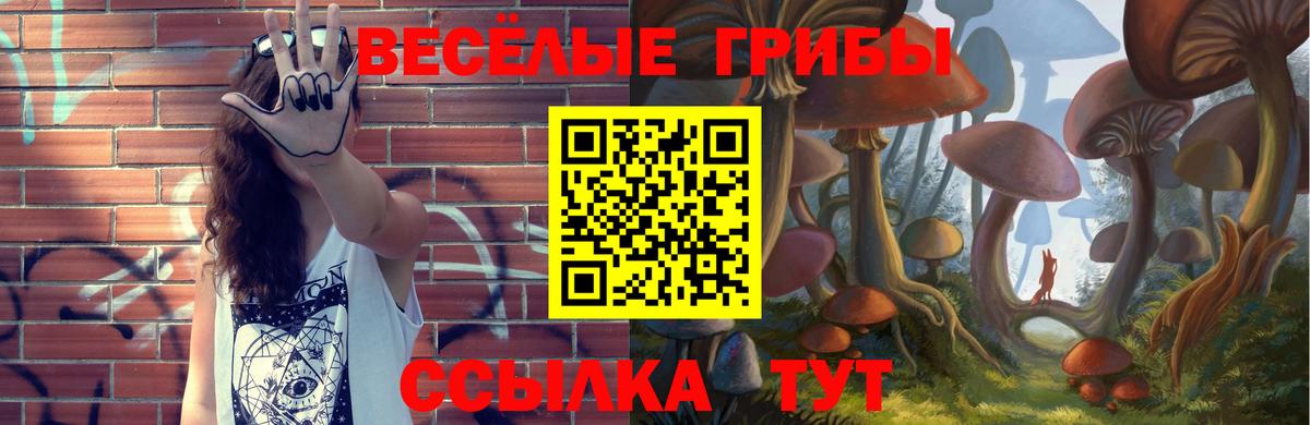Галлюциногенные грибы ЛСД  Вход с VPN  Галлюциногенные грибы Psilocybe  Белорецк 